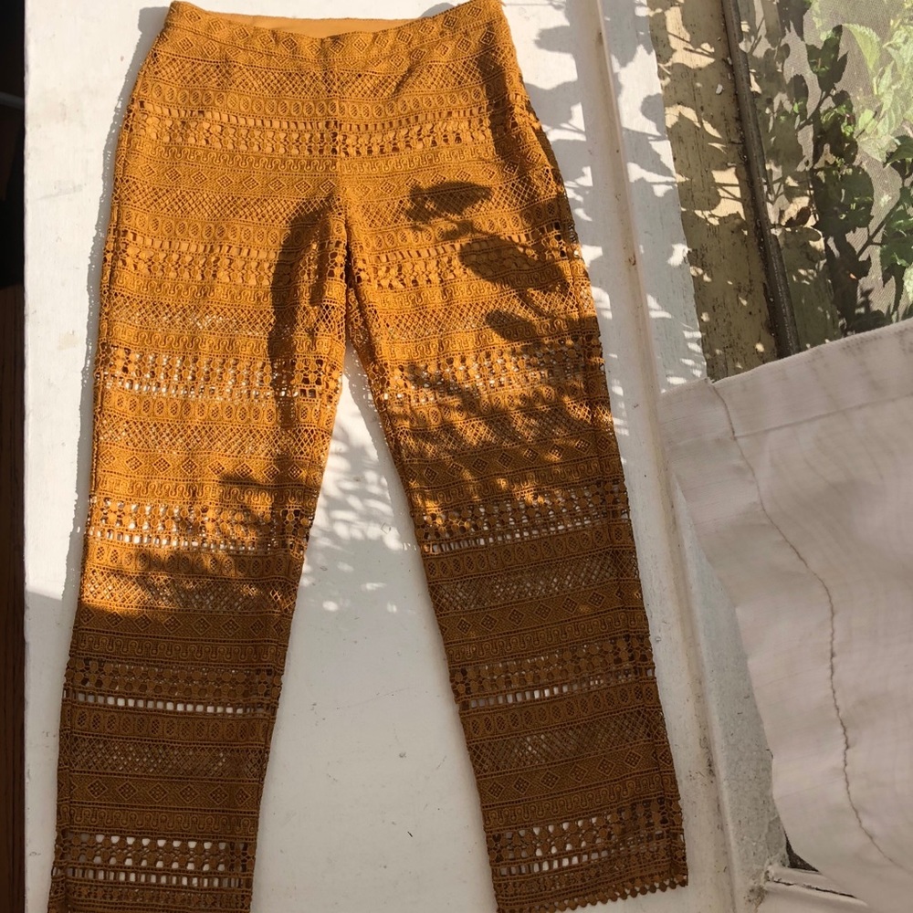 Golden Embroidered Zara Pants